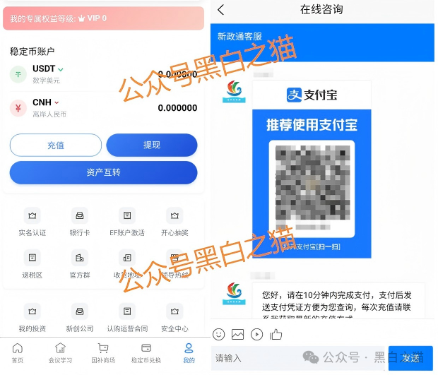 资金盘|臆造“新政通”冒充国家机构,拉人头非法吸收公民资金...... 资金盘|臆造“新政通”冒充国家机构,拉人头非法吸收公民资金......